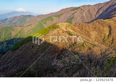 春の丹沢表尾根・烏尾山と富士山 120925878