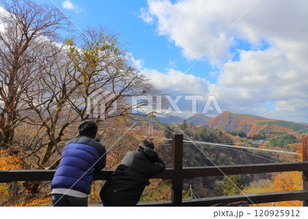 吊り橋を眺める男の子　兄弟　紅葉 120925912