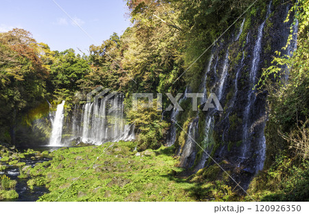 富士宮市から紅葉に彩られた白糸の滝 120926350