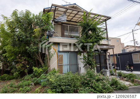 雑草で囲まれた空き家 120926587