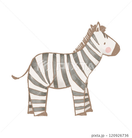 Beautiful stock illustration with cute zebra. Safari animal clip art. Isolated naive style drawing. Childish hand drawn painting. 120926736