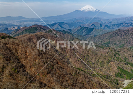 早春の丹沢・塔ノ岳から見る富士山 120927281
