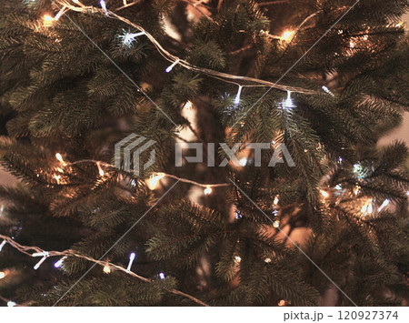 background New Year's garland with lights on a Christmas tree background New Year's garland with lights on a Christmas tree 120927374