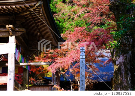 定福寺の紅葉　高知 120927552