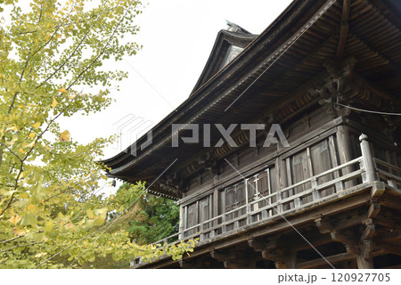醍醐寺 色づき始めたイチョウと如意輪堂【重文】 醍醐寺 色づき始めたイチョウと如意輪堂【重文】 120927705