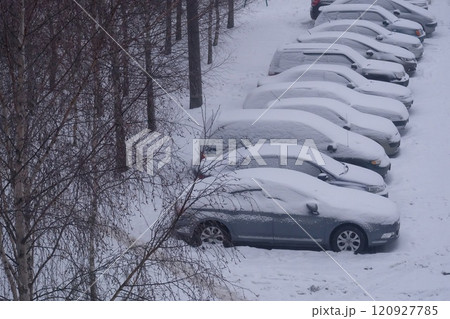 Several parked cars are blanketed in thick snow, showing the impact of winter weather. The scene captures a cold day with snow covering the ground and trees nearby. Several parked cars are blanketed in thick snow, showing the impact of winter weather. The scene captures a cold day with snow covering the ground and trees nearby. 120927785