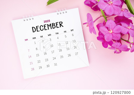 December 2025 desk calendar and pink orchid on pink color background. December 2025 desk calendar and pink orchid on pink color background. 120927800