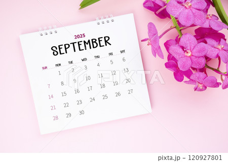 September 2025 desk calendar and pink orchid on pink color background. 120927801