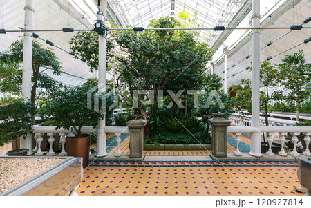 Vibrant corridor inside the Grand Greenhouse of Changgyeonggung Palace, Seoul, South Korea 120927814