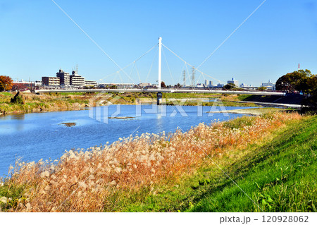 万願寺歩道橋(ふれあい橋)/浅川方面を上流側より望む(東京都日野市)【2024.11】 万願寺歩道橋(ふれあい橋)/浅川方面を上流側より望む(東京都日野市)【2024.11】 120928062