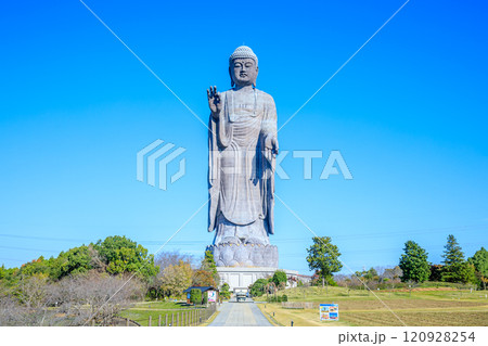 秋の牛久大仏　茨城県牛久市 120928254