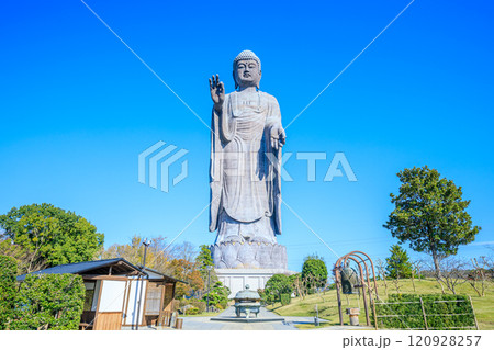 秋の牛久大仏　茨城県牛久市 120928257