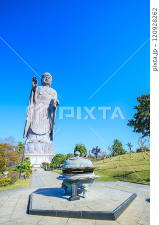 秋の牛久大仏　茨城県牛久市 120928262