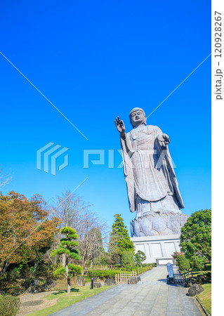 秋の牛久大仏 茨城県牛久市 秋の牛久大仏 茨城県牛久市 120928267