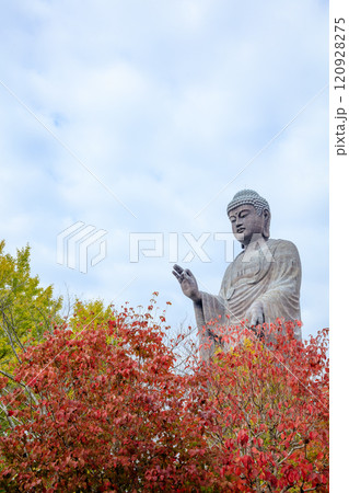 秋の牛久大仏　茨城県牛久市 120928275