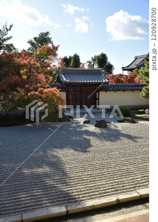 秋の等持院　方丈南庭　勅使門とモミジ 120928700