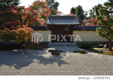 秋の等持院 方丈南庭 勅使門とモミジ 秋の等持院 方丈南庭 勅使門とモミジ 120928701