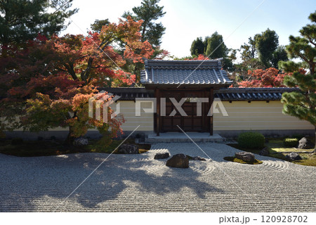 秋の等持院 方丈南庭 勅使門とモミジ 秋の等持院 方丈南庭 勅使門とモミジ 120928702