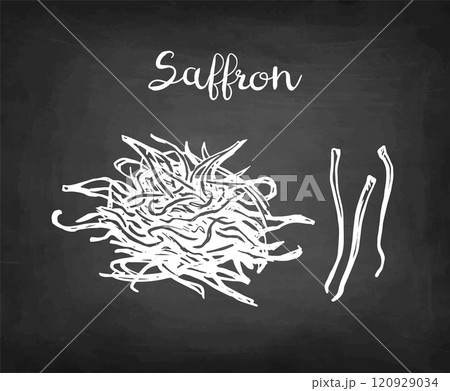 Saffron crocus flower chalk sketch. Saffron crocus flower chalk sketch. 120929034