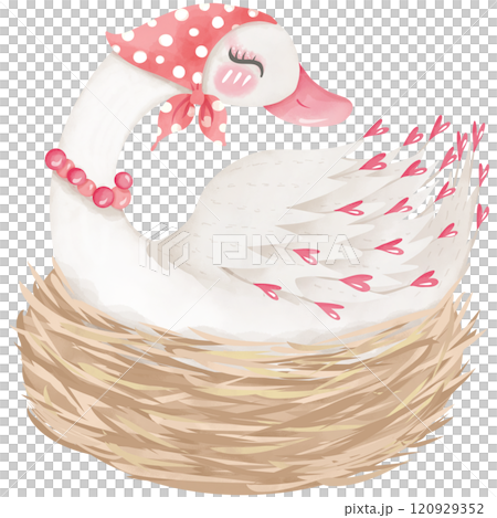 Swan sleeping in a straw nest, hand drawn watercolor 120929352