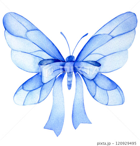 watercolor drawing, butterfly with bow and blue ribbon. 120929495