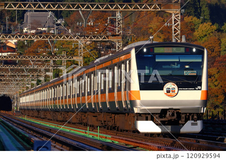 ［JC］紅葉の中央線E233系電車（青梅線開業130周年記念） 120929594