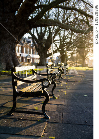 明るい夜明けの朝日を浴びるテームズ川沿いの公園に置かれた歴史的なベンチ ロンドン郊外のキューにて 明るい夜明けの朝日を浴びるテームズ川沿いの公園に置かれた歴史的なベンチ ロンドン郊外のキューにて 120929896