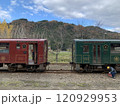 若桜鉄道　八頭号と若桜号 120929953