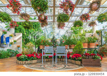 冬のはままつフラワーパーク、クリスマス展示〈静岡県浜松市〉 冬のはままつフラワーパーク、クリスマス展示〈静岡県浜松市〉 120930454