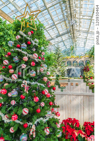 冬のはままつフラワーパーク、クリスマス展示〈静岡県浜松市〉 冬のはままつフラワーパーク、クリスマス展示〈静岡県浜松市〉 120930464