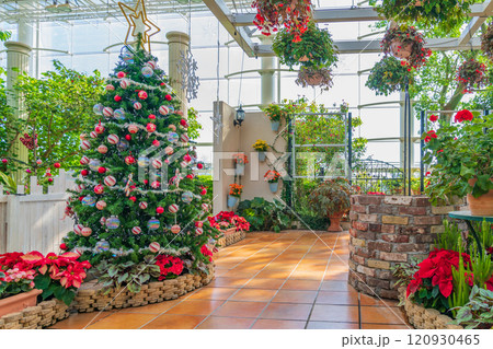 冬のはままつフラワーパーク、クリスマス展示〈静岡県浜松市〉 冬のはままつフラワーパーク、クリスマス展示〈静岡県浜松市〉 120930465