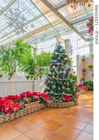 冬のはままつフラワーパーク、クリスマス展示〈静岡県浜松市〉 冬のはままつフラワーパーク、クリスマス展示〈静岡県浜松市〉 120930466