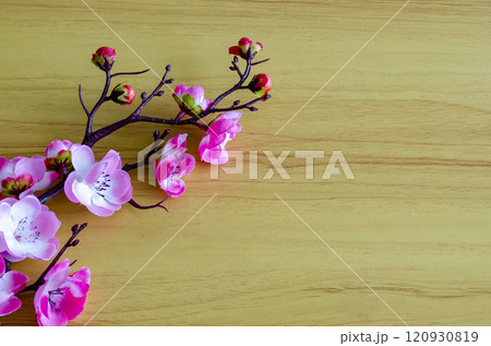 top view of pink flower representing Chinese New Year season with customizable space for text top view of pink flower representing Chinese New Year season with customizable space for text 120930819