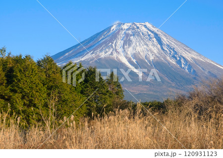 静岡県富士宮市根原から望む富士山 静岡県富士宮市根原から望む富士山 120931123