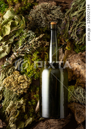 Vintage bottles with tinctures and various dried herbs. Vintage bottles with tinctures and various dried herbs. 120932144