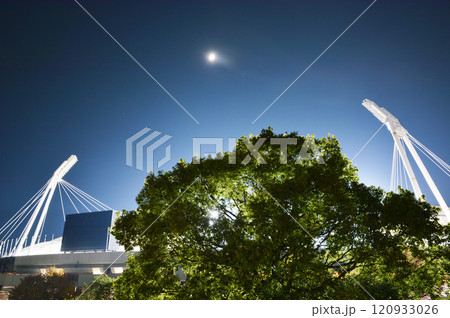 熊本総合運動公園と木 夜景 熊本総合運動公園と木 夜景 120933026