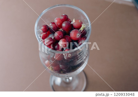 frozen red cranberry berry in a wine glass. High quality photo frozen red cranberry berry in a wine glass. High quality photo 120933048