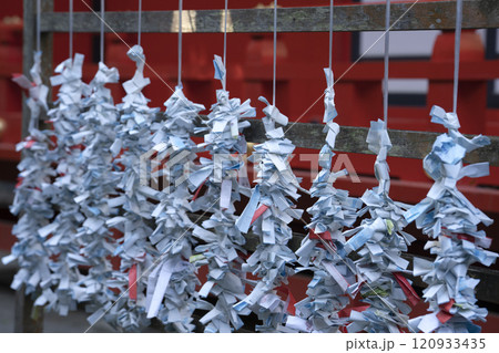 Omikuji paper strips at Enoshima shrine, Enoshima island, Fujisawa, Kanagawa prefecture, Japan. Omikuji paper strips at Enoshima shrine, Enoshima island, Fujisawa, Kanagawa prefecture, Japan. 120933435