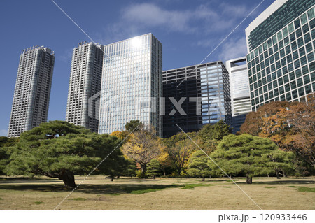 Japan, Tokyo, Hamarikyu Garden in momiji season. 120933446