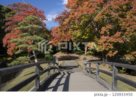 Japan, Tokyo, Hamarikyu Garden in momiji season. Japan, Tokyo, Hamarikyu Garden in momiji season. 120933450