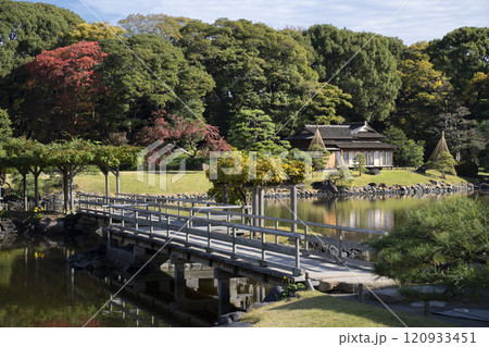 Japan, Tokyo, Hamarikyu Garden in momiji season. 120933451