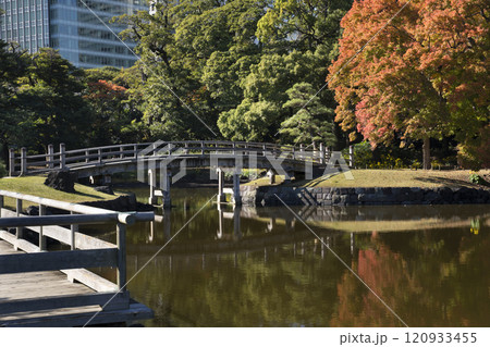 Japan, Tokyo, Hamarikyu Garden in momiji season. 120933455