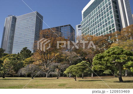 Japan, Tokyo, Hamarikyu Garden in momiji season. 120933469