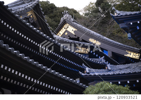 Hasedera Temple is one of the Buddhist temples in the city of Kamakura in Kanagawa Prefecture, Japan. 120933521