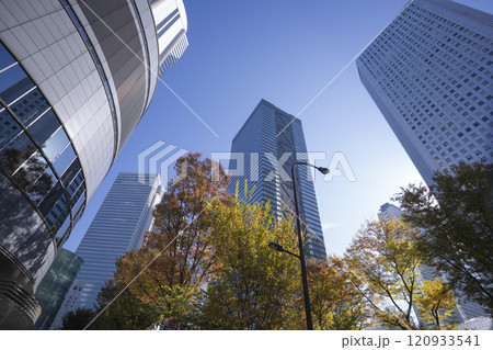 Street view of Shinjuku skyscrapers, Tokyo, Japan. 120933541