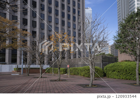 Street view of Shinjuku skyscrapers, Tokyo, Japan. 120933544