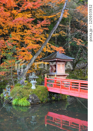 甘南美寺の紅葉 120933932