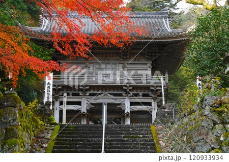 甘南美寺の紅葉 120933934