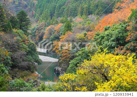 初冬の時雨空の根尾の紅葉 初冬の時雨空の根尾の紅葉 120933941
