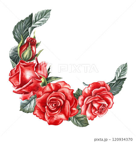 Red roses. a hand-drawn watercolor illustration. A design element of a flower card, a wedding invitation, a valentine, an elegant greeting card. For packaging and labels, posters and flyers. Red roses. a hand-drawn watercolor illustration. A design element of a flower card, a wedding invitation, a valentine, an elegant greeting card. For packaging and labels, posters and flyers. 120934370